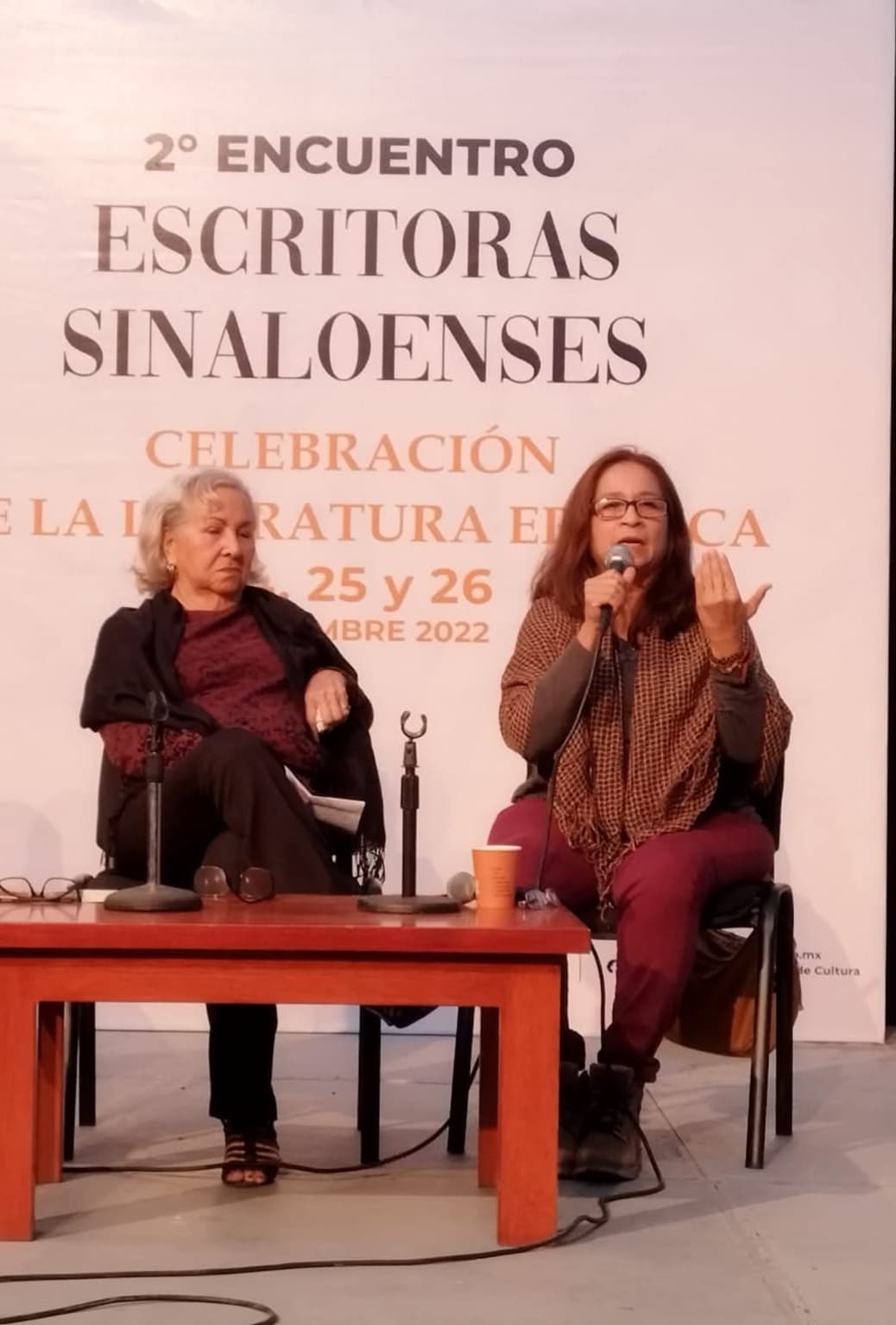Participación Cultural de Alma Vitalis, imagen 1
